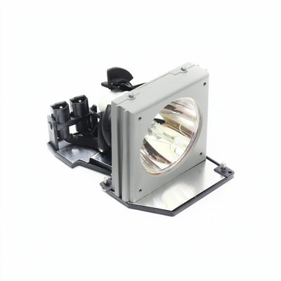 25169089 lamp with housing for the Optoma EzPro 739H