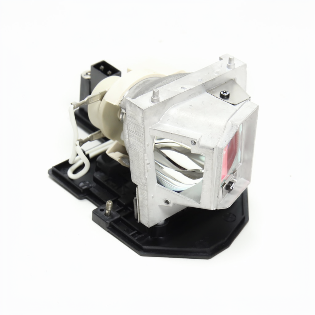 BL-FU190D projector lamp with module for Optoma projectors