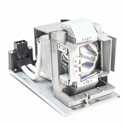 BL-FP240D projector lamp with module for Optoma projectors