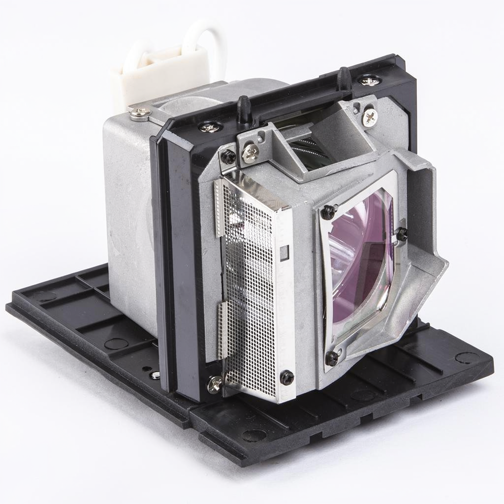 SP-LAMP-054 projector lamp with module for Infocus projectors