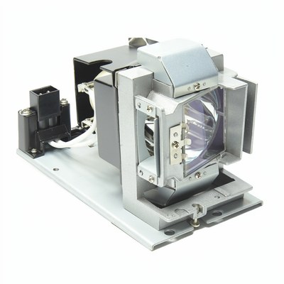 5811118924-SVV lamp with housing for the Vivitek DW868