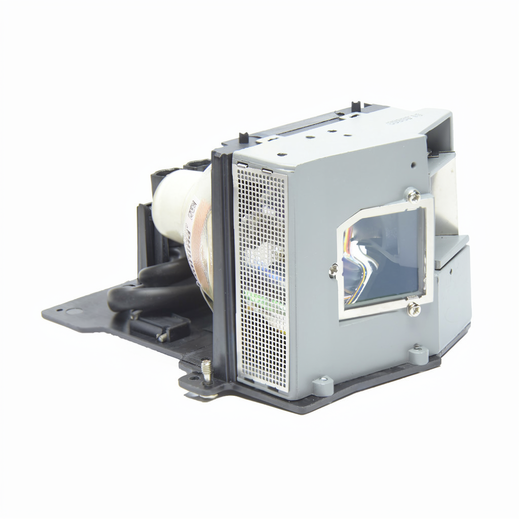 BL-FU250C projector lamp with module for Acer, Optoma, Viewsonic projectors