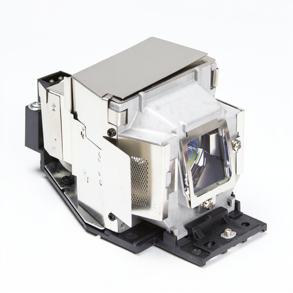 SP-LAMP-059 projector lamp with module for Infocus projectors