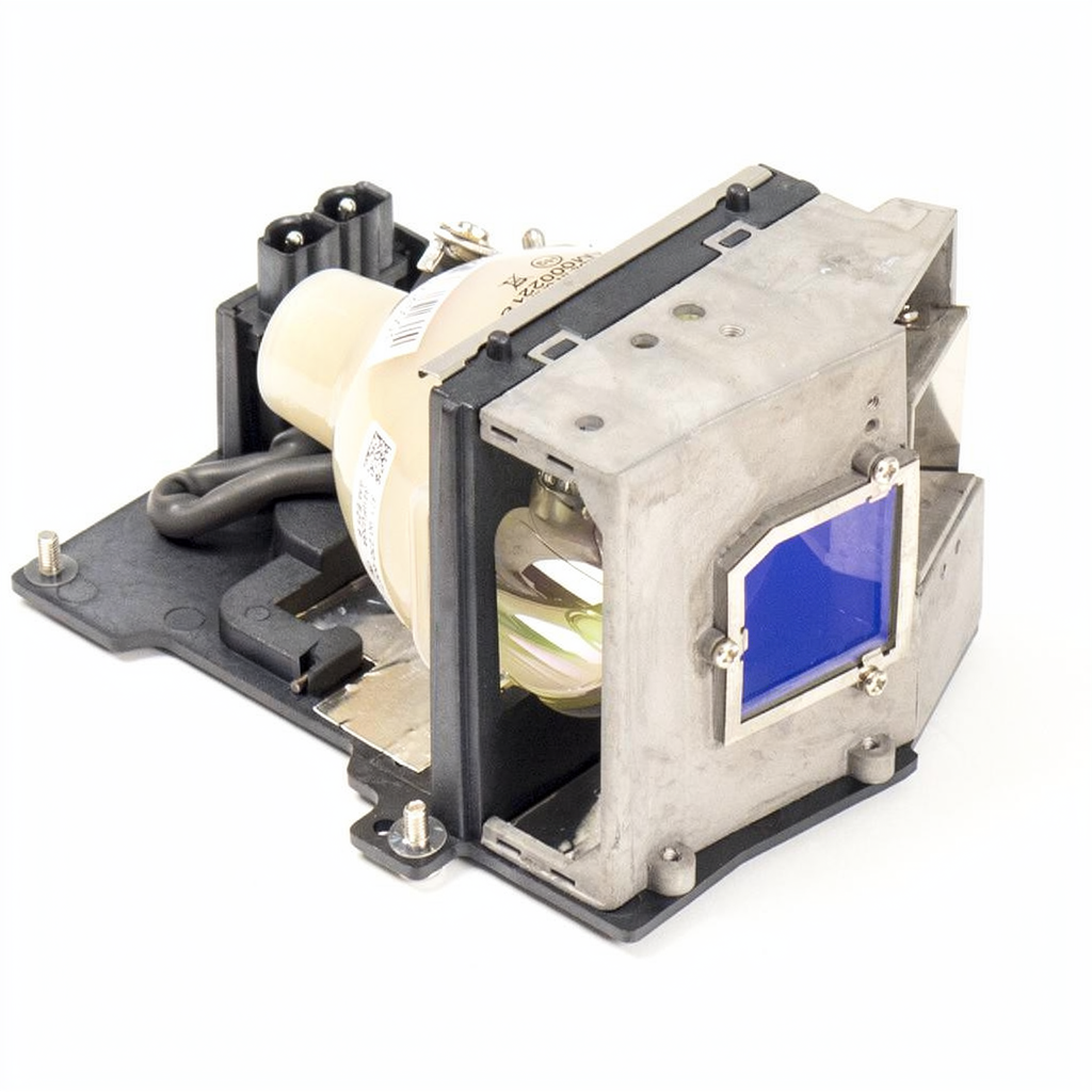 BL-FU250D projector lamp with module for Optoma projectors