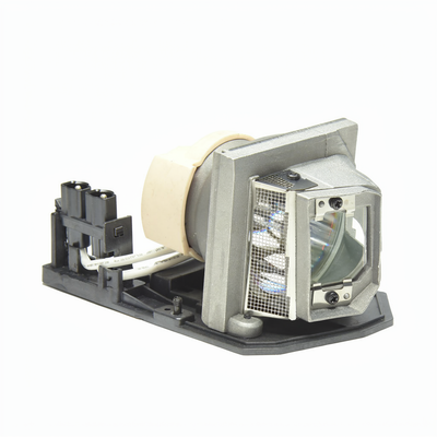 EC.K0100.001 lamp with housing for the Acer X110