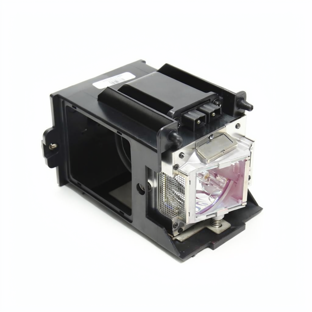 NP9LP01 projector lamp with module for NEC projectors