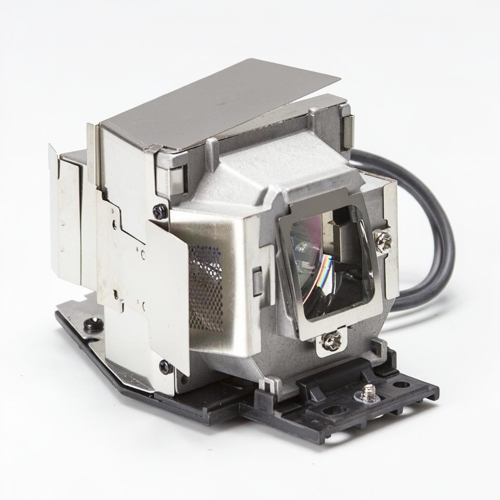 SP-LAMP-061 projector lamp with module for Infocus projectors