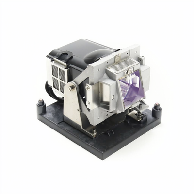 5811117496 lamp with housing for the Vivitek D7080HD