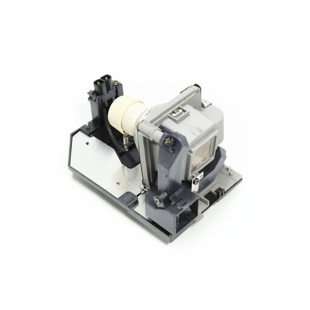 NP29LP projector lamp with module for NEC projectors
