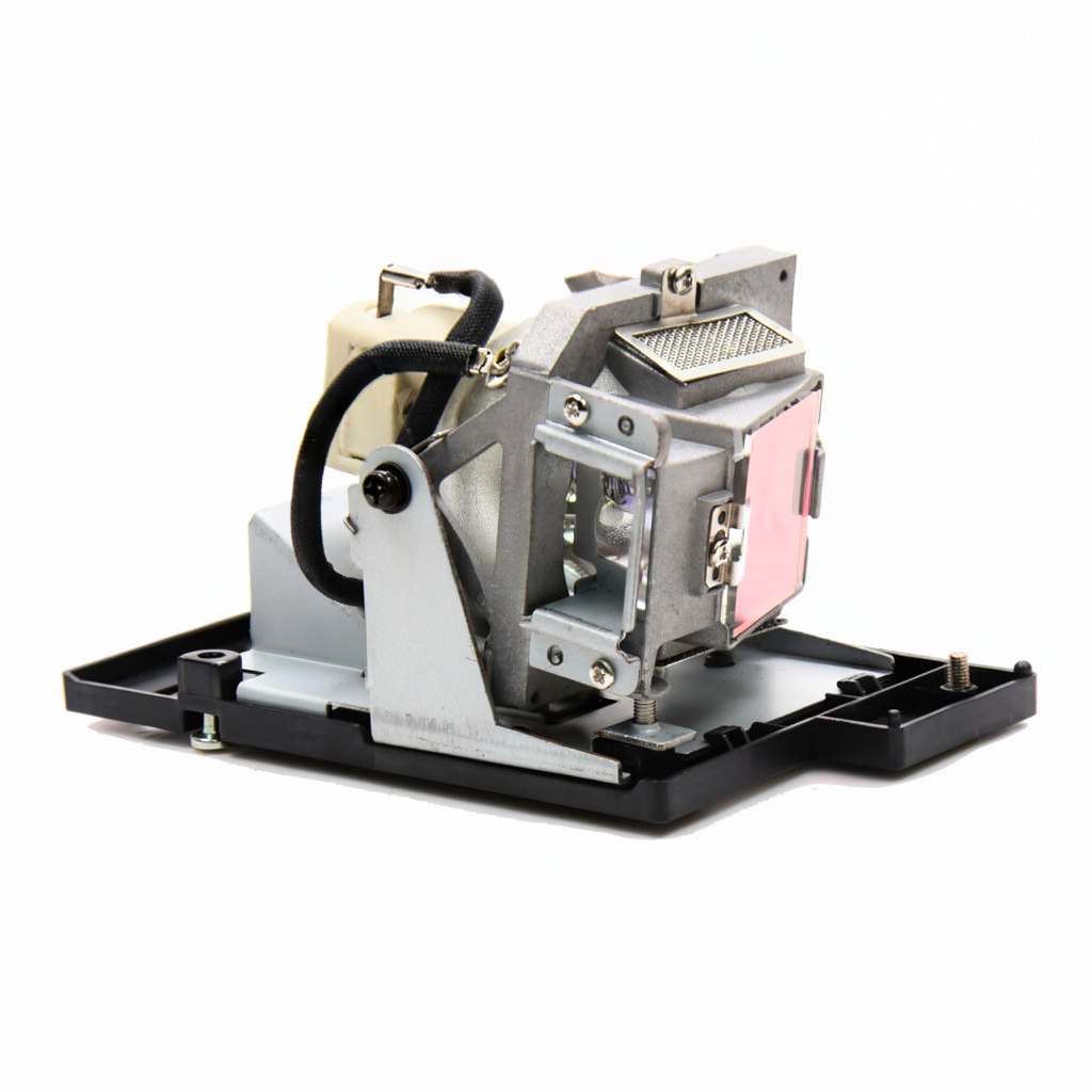 PD2010 projector lamp with module for Planar projectors