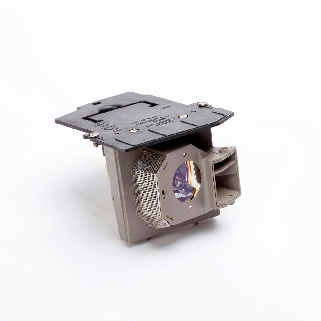 BL-FS300B projector lamp with module for Optoma projectors