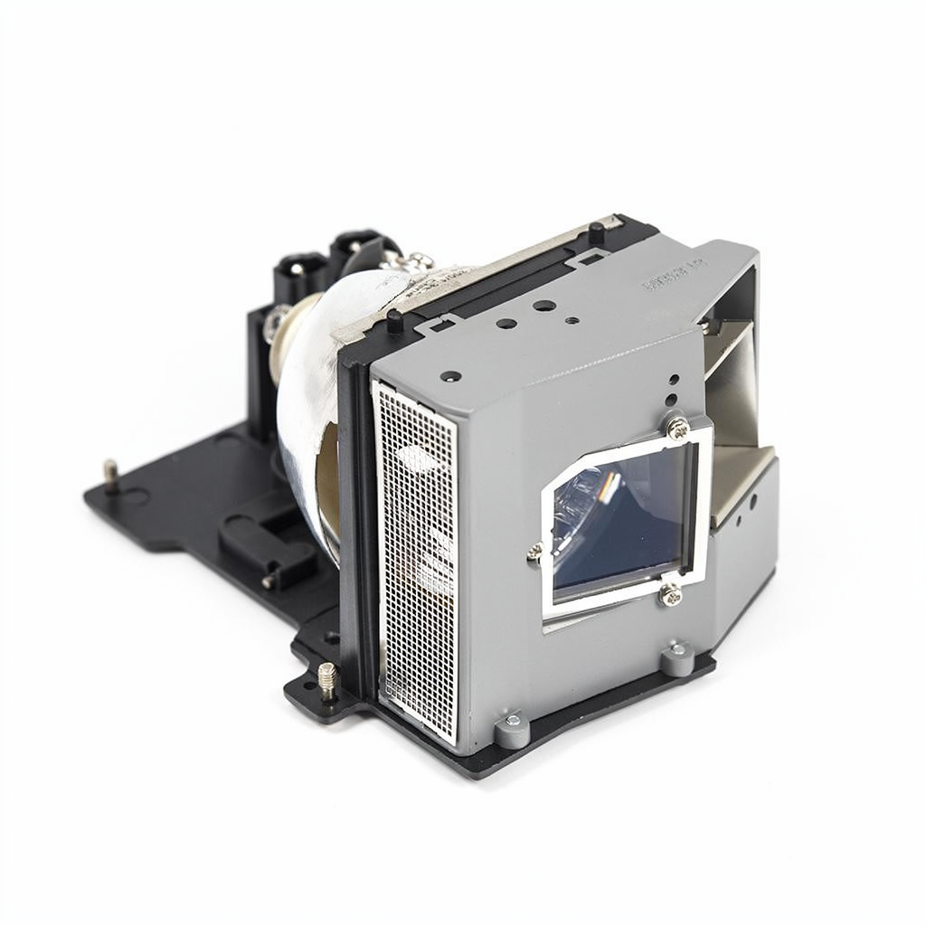 EC.J2901.001 projector lamp with module for Acer, Optoma projectors