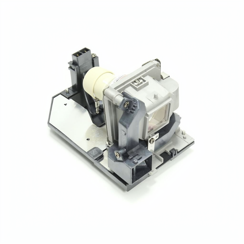 NP28LP projector lamp with module for NEC projectors