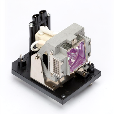 60002027 lamp with housing for the NEC NP4000