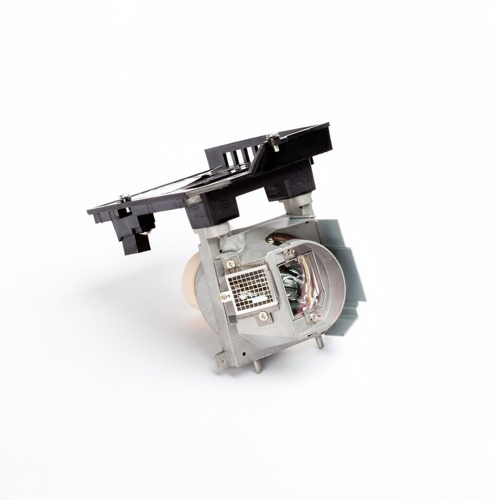 NP20LP projector lamp with module for NEC projectors