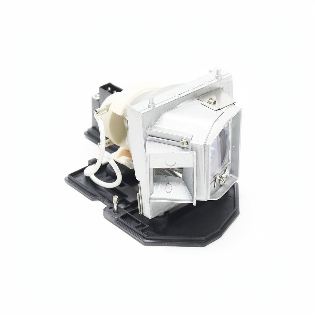 1025290 projector lamp with module for Smartboard projectors