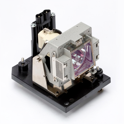60002748 lamp with housing for the NEC NP4100-09ZL