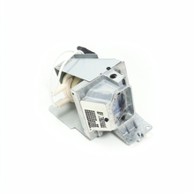 Lamp Type 14 projector lamp with module for Ricoh projectors