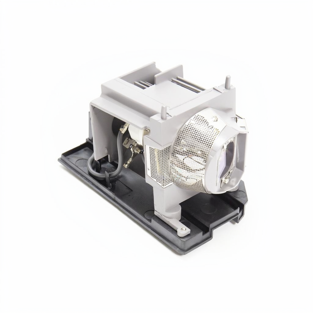NP24LP projector lamp with module for NEC projectors