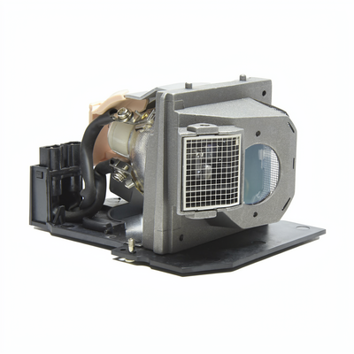 BL-FU300A lamp with housing for the Optoma VE810