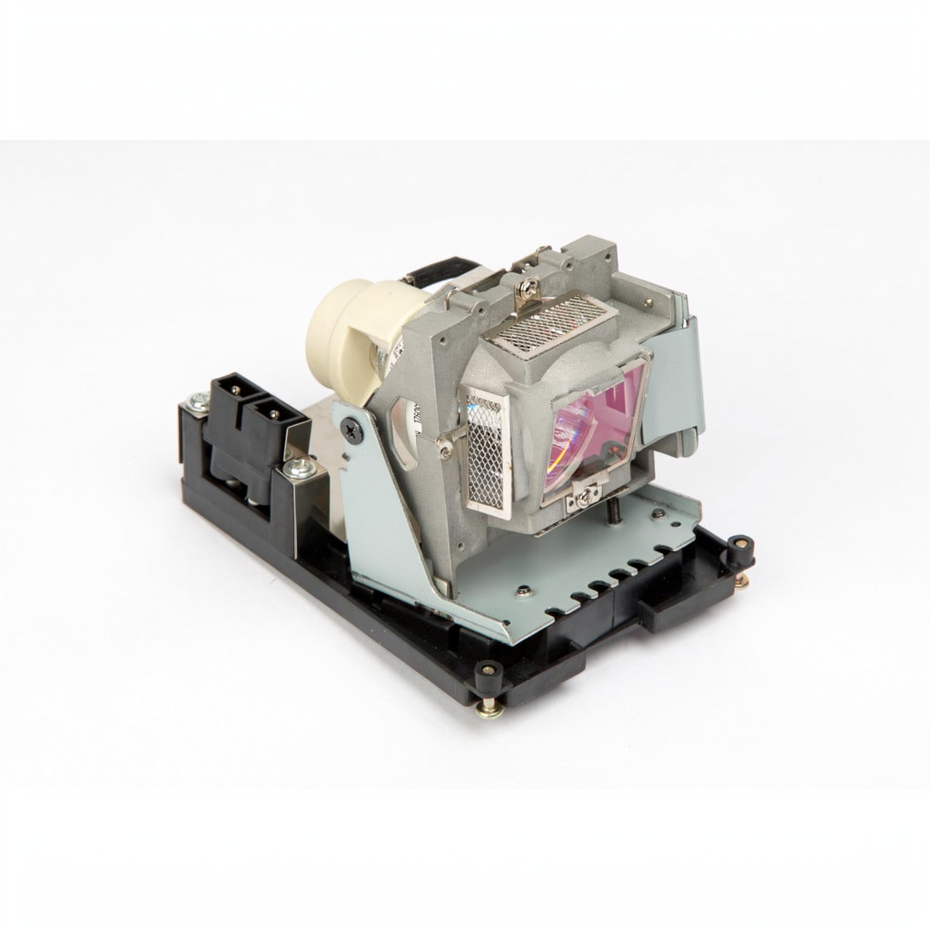 SP-LAMP-065 projector lamp with module for Infocus projectors