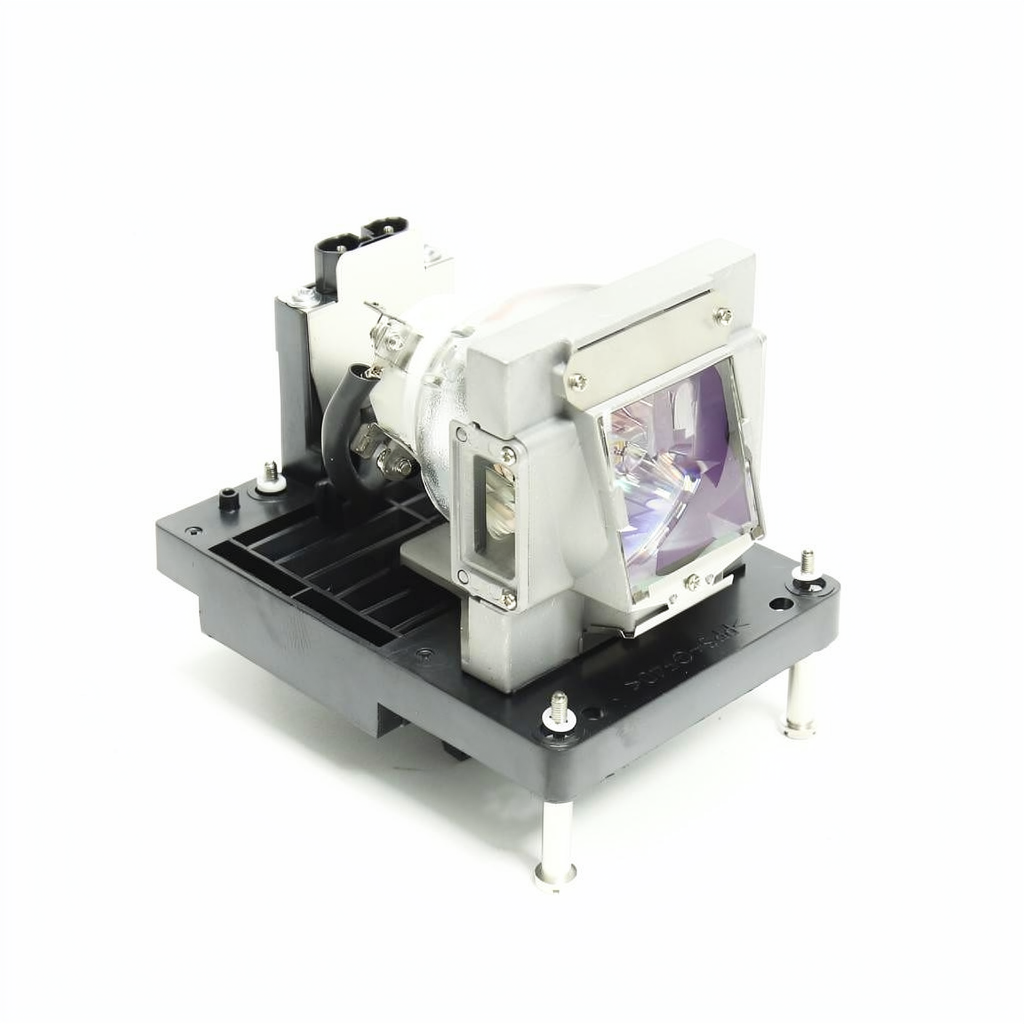Projection 114-229 projector lamp with module for Digital projectors