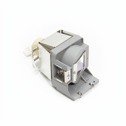 DAEXNZGU projector lamp with module for Optoma projectors