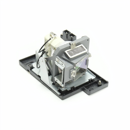H1Z1DSP00010 projector lamp with module for LG, Optoma projectors