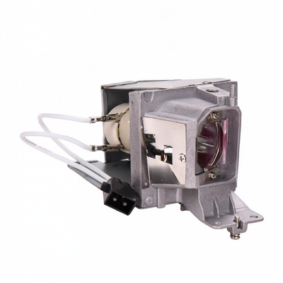 725-BBEL lamp with housing for the Dell P318S
